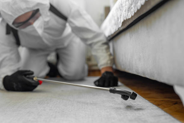 Professional Ant Control technician working in Clay County County, IA